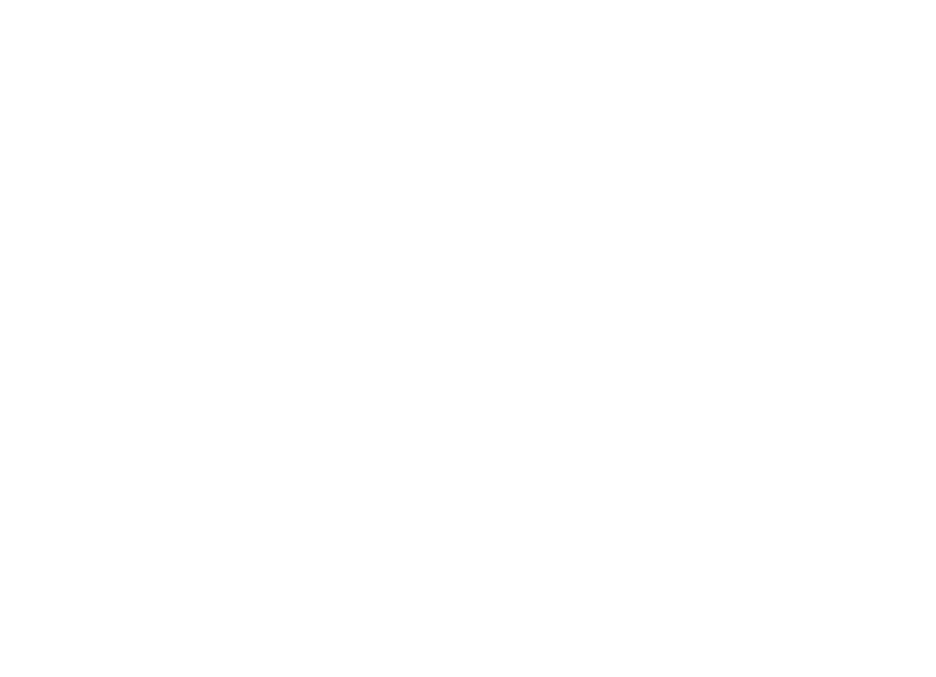 Raintree Partners logo